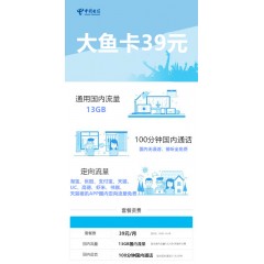 中國電信  大魚卡39元套餐【下訂單，中國郵政快遞包郵到家?！? width=
