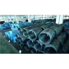山東東營(yíng)鋼簾線廠 招聘  男工年齡16-48周歲，女工年齡16-43周歲。