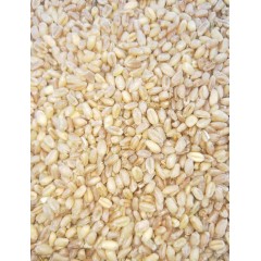 農家庭院小麥粉 原始麥香 面味純正  5kg/10kg/袋