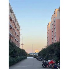 南京中電熊貓晶體  招聘：男18-35周歲，女18-40周歲。